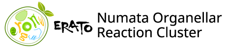 ERATO Numata Organellar Reactions' Cluster