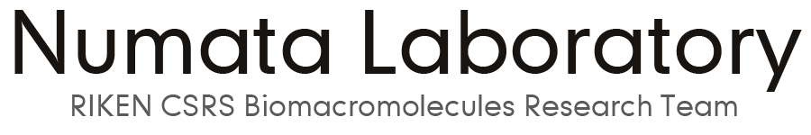 Numata Laboratory, RIKEN CSRS Biomacromolecules Research Team